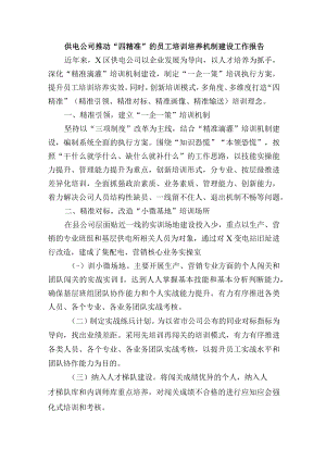 供电公司推动“四精准”的员工培训培养机制建设工作报告.docx