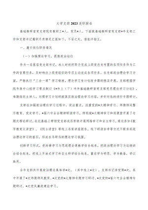 大学支部2023述职报告.docx