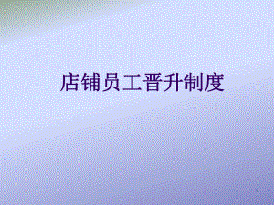 新店铺晋升管理制度.ppt