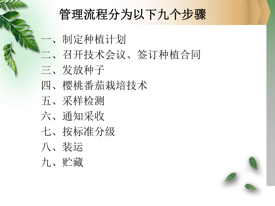 樱桃番茄栽培技术.ppt_第2页