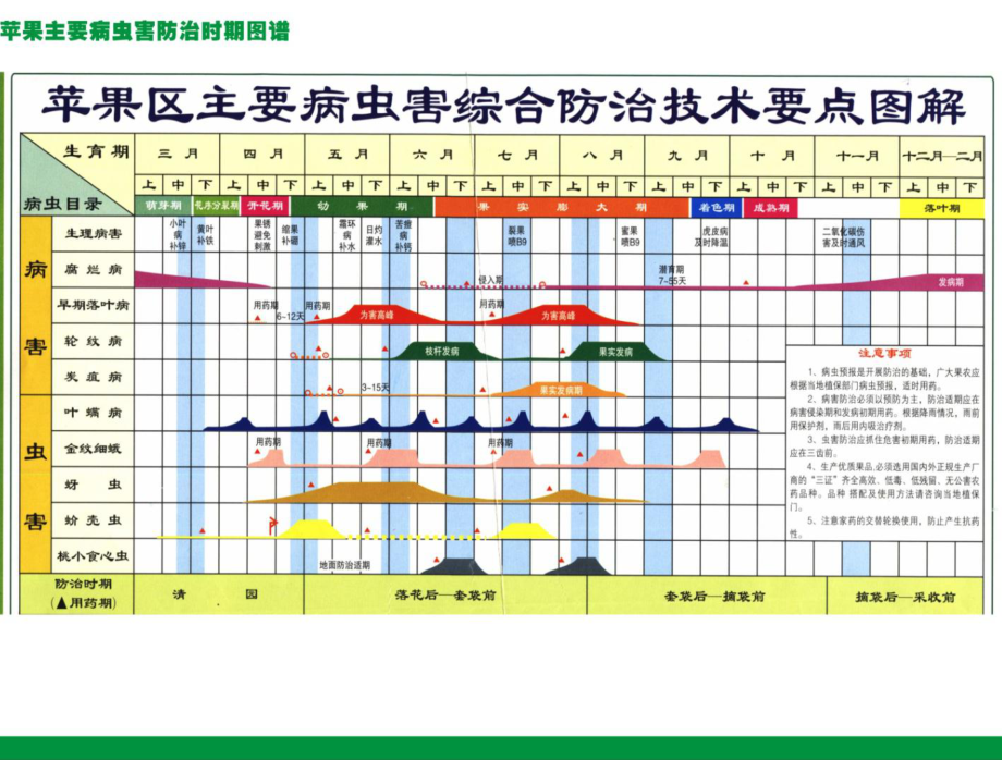 果园病虫害详细图解.ppt_第2页
