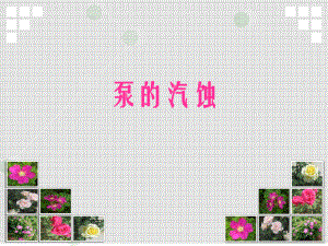 泵的汽蚀报告.ppt
