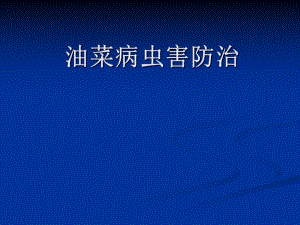 油菜病虫害防治.ppt