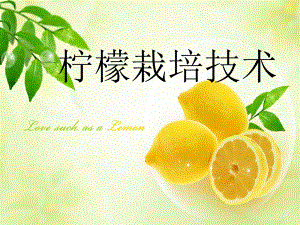 柠檬栽培与管理技术.ppt