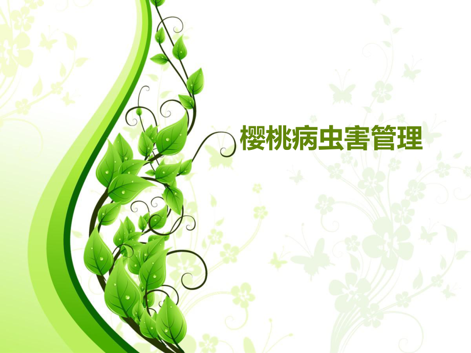 樱桃病虫害管理.ppt_第1页