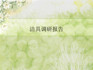 洁具调研报告.ppt