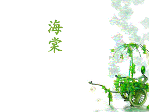 海棠病虫害防治.ppt