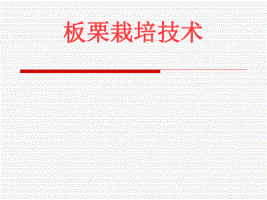 板栗栽培技术.ppt