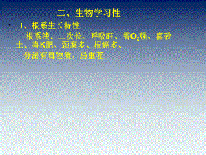 桃树栽培技术.ppt