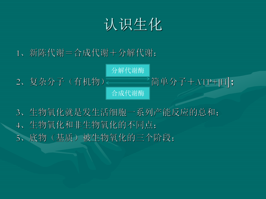 污水处理调试培训.ppt_第2页