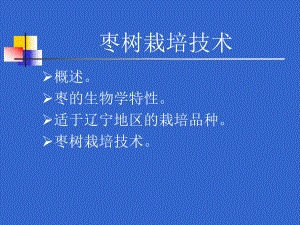 枣树栽培技术.ppt