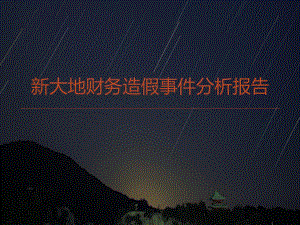 新大地财务造假分析.ppt
