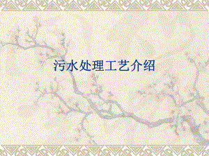 污水处理工艺介绍.ppt