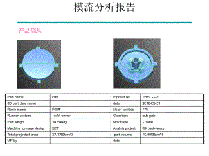 模流分析报告.ppt