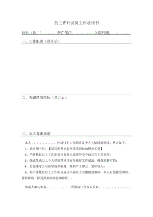 员工晋升试岗工作承诺书.docx