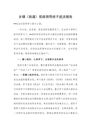 乡镇（街道）党政领导班子述法报告.docx
