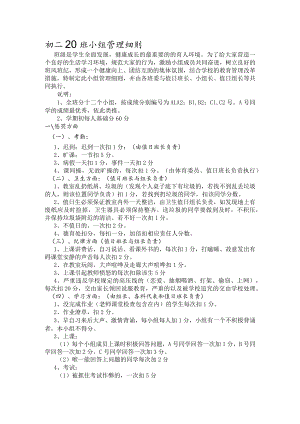 初二20班小组管理细则.docx