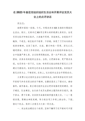 在2023年基层党组织组织生活会和开展评议党员大会上的点评讲话.docx