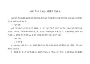 2023年农业农村项目管理意见.docx