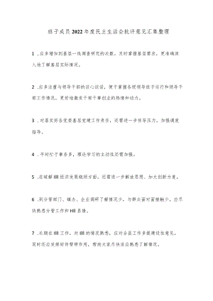 班子成员2022年度民主生活会批评意见汇集整理.docx