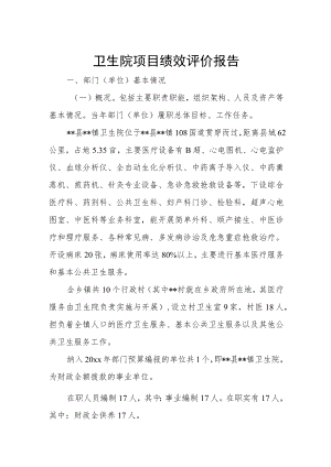 卫生院项目绩效评价报告.docx