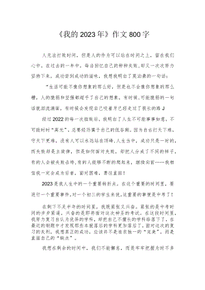 《我的2023年》作文800字.docx