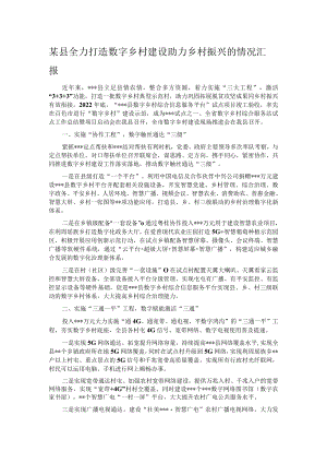 某县全力打造数字乡村建设助力乡村振兴的情况汇报.docx