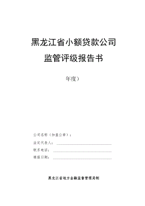 黑龙江省小额贷款公司监管评级报告书.docx