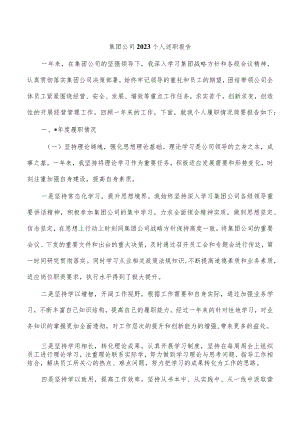 集团公司2023个人述职报告.docx