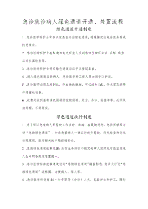 某某医院急诊就诊病人绿色通道开通、处置流程.docx