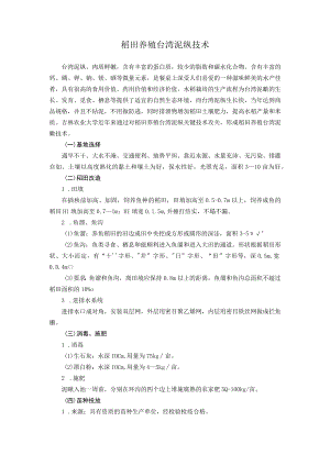 稻田养殖台湾泥鳅技术.docx