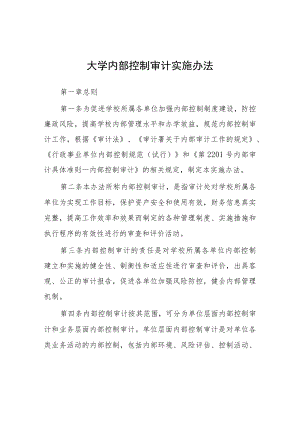 大学内部控制审计实施办法.docx