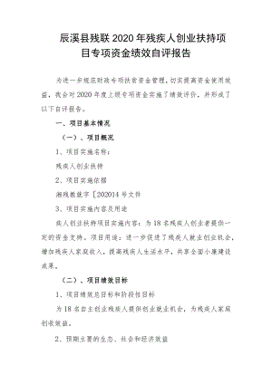 辰溪县残联2020年残疾人创业扶持项目专项资金绩效自评报告.docx