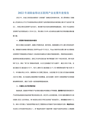 2022年湖南省移动互联网产业发展年度报告.docx