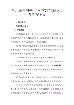 绥宁县医疗保障局2020年度部门整体支出绩效评价报告.docx