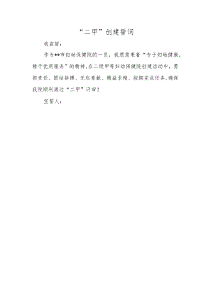 二甲妇幼保健院宣誓词.docx