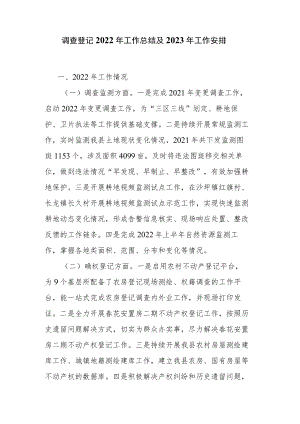 调查登记2022年工作总结及2023年工作安排.docx