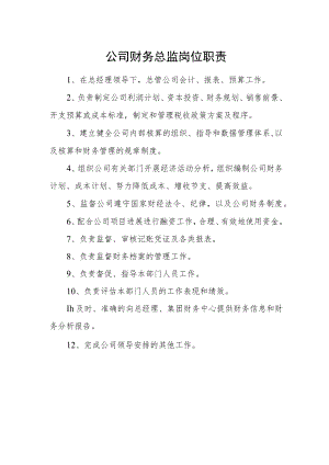 公司财务总监岗位职责.docx