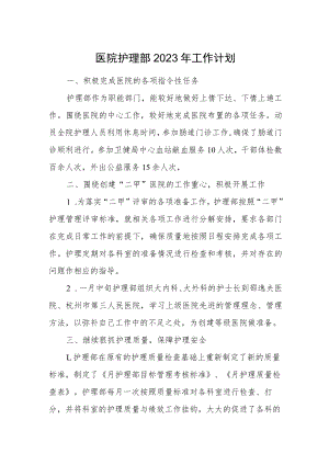 医院护理部2023年工作计划一.docx