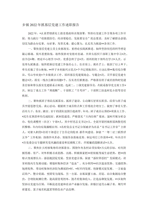 乡镇2022年抓基层党建工作述职报告.docx
