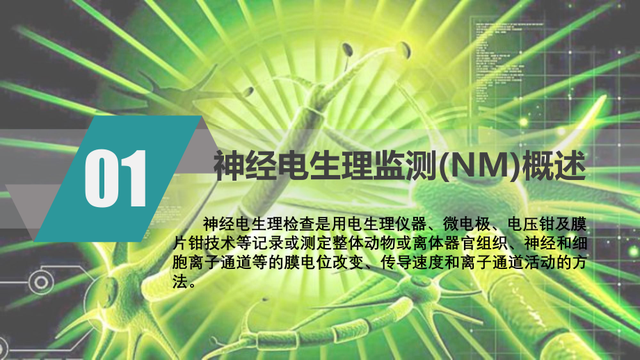 神经电生理监测的临床应用.ppt_第3页