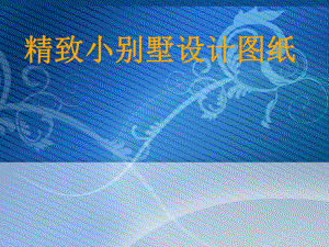 精致小别墅设计图纸3.ppt