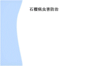 石榴病虫害防治.ppt