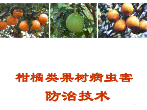 甘蓝莴苣病虫害防治.ppt