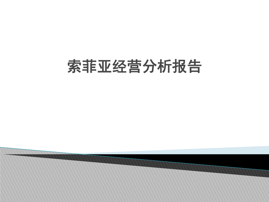 索菲亚经营分析报告.ppt_第1页