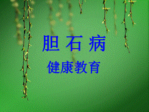 胆石症健康教育.ppt