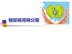 糖尿病肾病分期.ppt