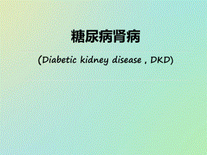 糖尿病肾病病例+理论.ppt