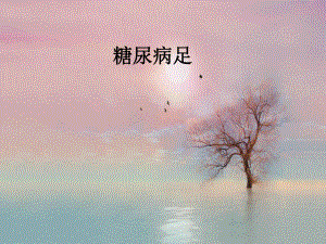糖尿病足PPT.ppt