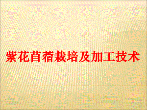 紫花苜蓿栽培技术.ppt